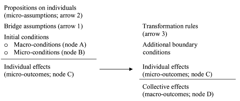 Coleman diagram from Raub et al. (2011:10)