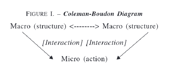 Coleman-Boudon diagram from Manzo (2007)