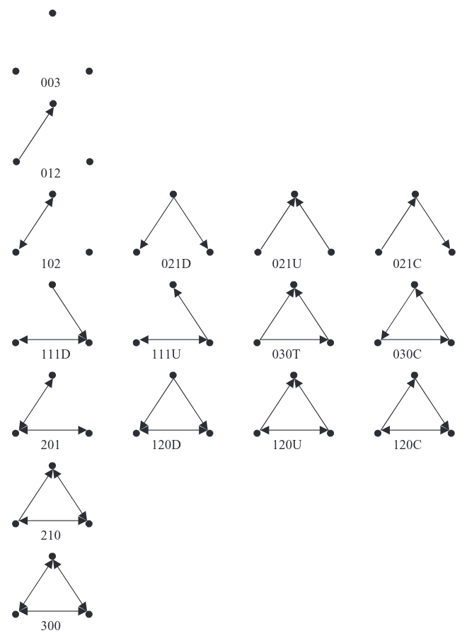 &lsquo;Triad isomorphism classes with <em>MAN</em> labeling&rsquo; (Faust 2007:215)